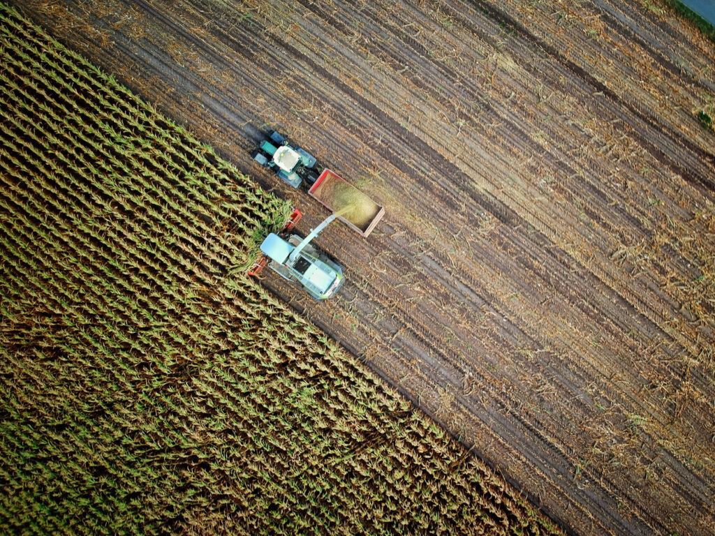 Farmers collectiong crop on the field with tractors. Farmers Workers Compensation