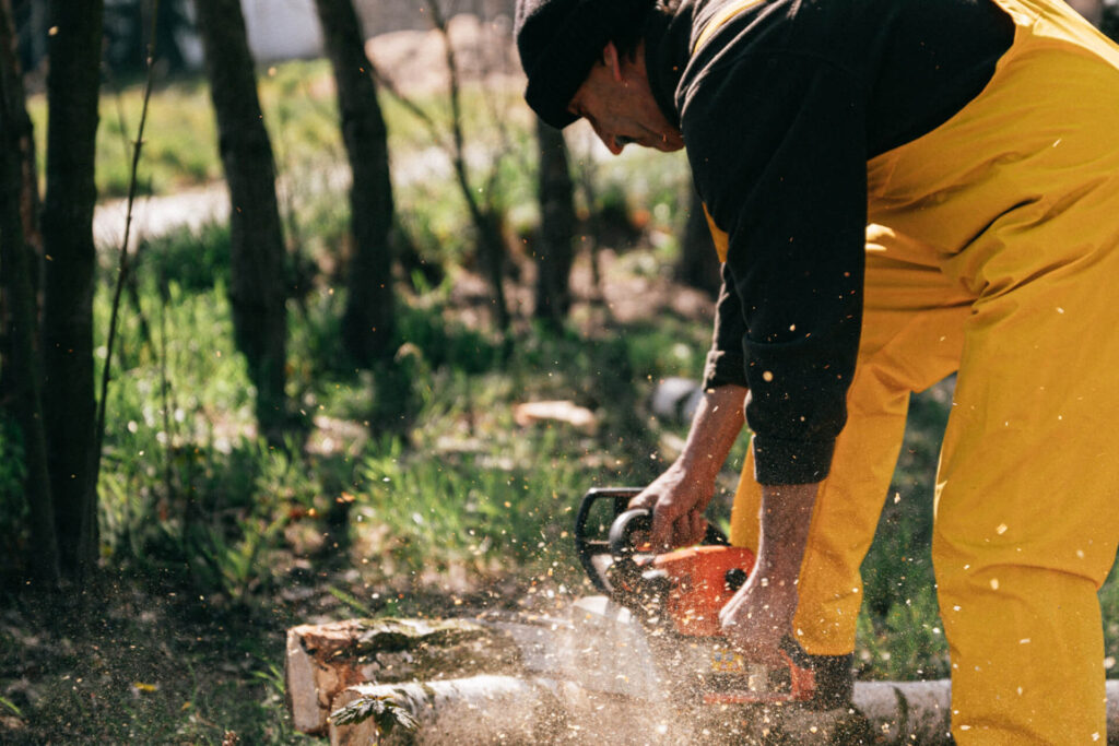 Hearing Loss within the Forestry and Timber industry