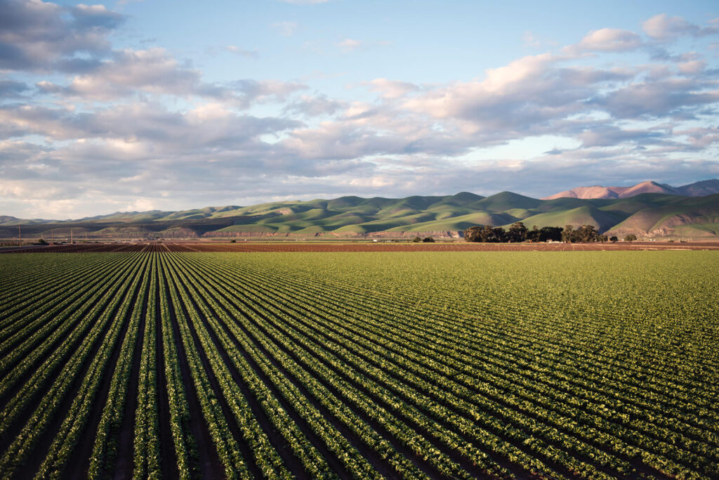 Farm field