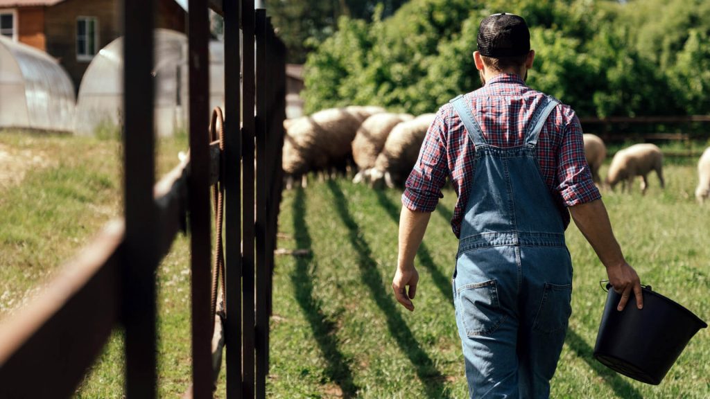 Why Should Agricultural Workers and Farmers Be Concerned About Hearing Loss